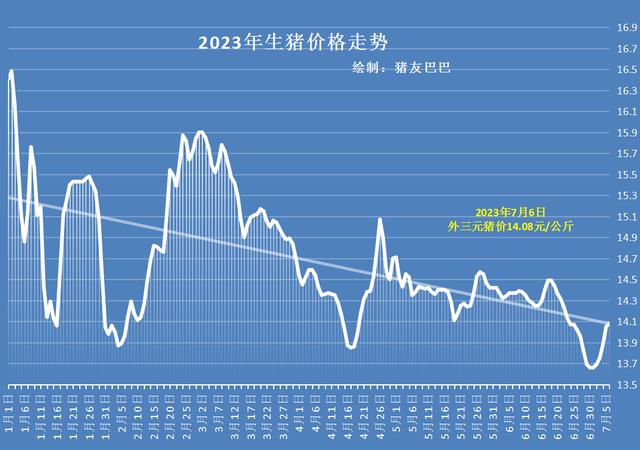 今日猪价最新预测走势v,今日猪价最新预测走势分析