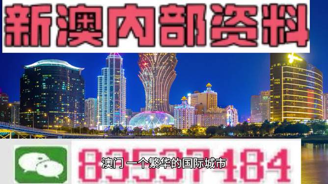 2024年新澳门王中王免费,探索新澳门王中王免费体验的独特魅力