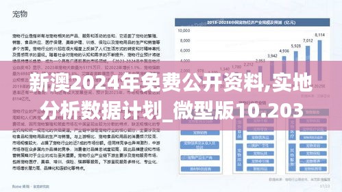 新澳2024年精准资料220期,新澳2024年精准资料220期详解