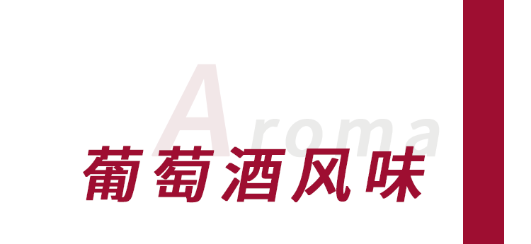 2824新澳资料免费大全,2824新澳资料免费大全——探索与获取信息的指南