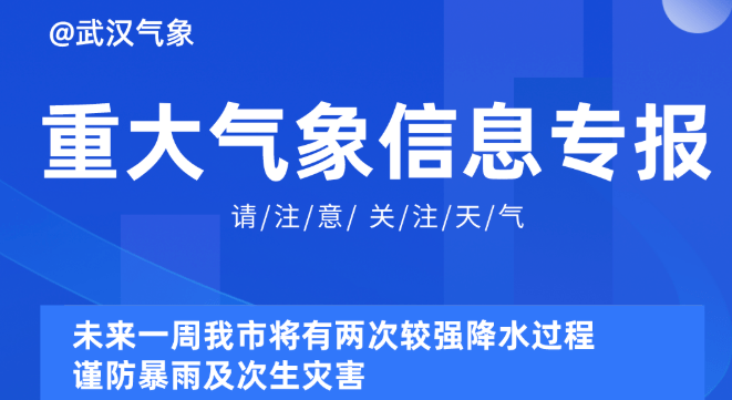 2025新奥资料免费精准109,探索未来，2025新奥资料免费精准共享