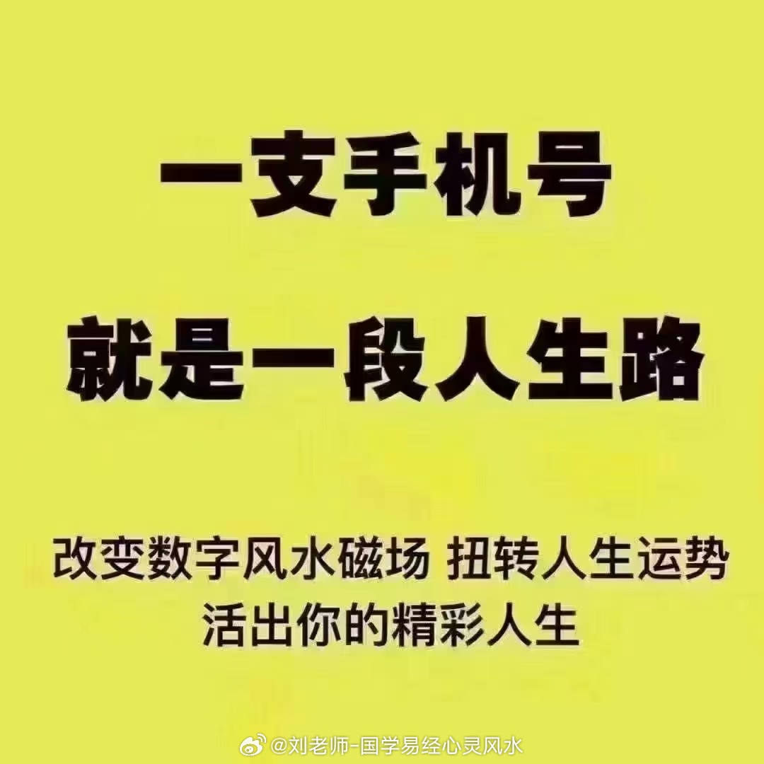 777778888精准跑狗,精准跑狗，探索数字世界中的神秘力量——77777与88888的魅力