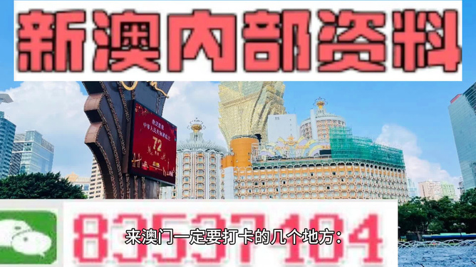 2025澳门最精准正最精准龙门,澳门2025最精准正最精准龙门，探索未来之门